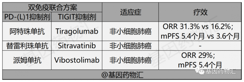 双免疫联合治疗方案