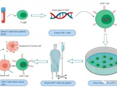 多种新型靶标结直肠癌CAR-T疗法:CYAD-01、CEA CAR-T、EpCAM(CD326) CAR-T、GUCY2C CAR-T抗癌效果翻倍