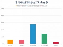 胰腺癌新药有哪些,六大重磅胰腺癌最新药物向"癌王"发起挑战