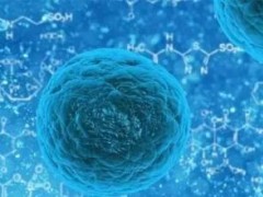 中国的细胞免疫疗法已被叫停，日本的细胞免疫治疗百花齐放