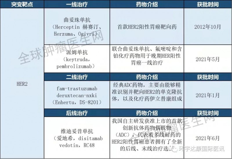 胃癌HER2基因突变获批的治疗方案