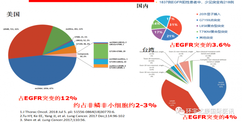 中美两国肺癌EGFR突变概率