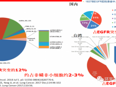 EGFR20ins突变靶向药新药相继问世,EGFR 20ins的肺癌患者迎来曙光