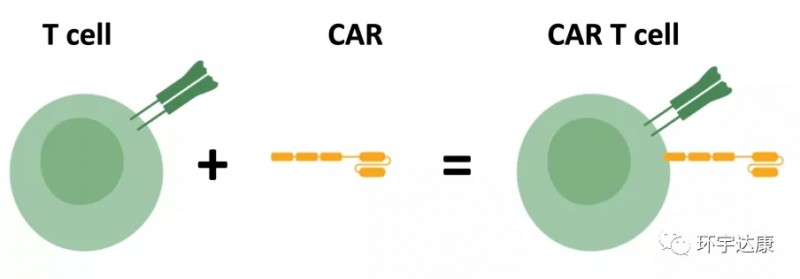 CAR-T疗法