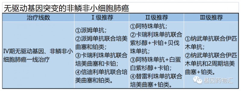 无驱动基因突变的非鳞非小细胞肺癌治疗推荐