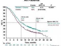 帕博利珠单抗(Pembrolizumab)获FDA优先审查食管癌免疫治疗,有望升至一线食管癌治疗方案