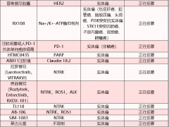 卵巢癌新进展,鲁卡帕利(Rucaparib、Rubraca)卵巢癌治疗最新进展