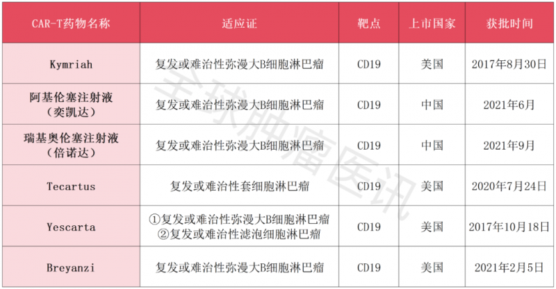 中美两国上市的治疗淋巴瘤的CAR-T细胞疗法