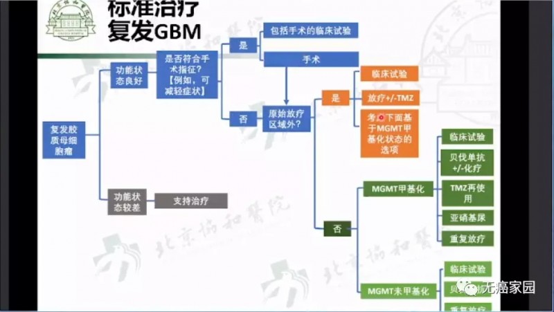 复发胶质母细胞瘤标准治疗方案