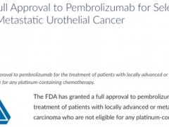速递|尿路上皮癌免疫治疗,2021年9月1日FDA宣布正式批准派姆单抗(Pembrolizumab、Keytruda)用于局部晚期或转移性尿路上皮癌患者
