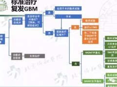 FDA授予C/EBPβ肽拮抗剂ST101治疗复发性胶质母细胞瘤快速通道指定,脑胶质瘤电场治疗和质子治疗这些"黑科技"你也应该了解一下