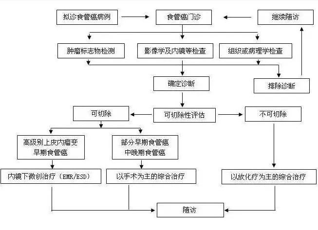 食管癌诊断与治疗的流程图