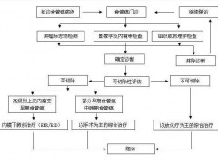 食道癌放疗,不同时期食管癌放疗方案如何选择