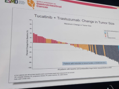 结直肠癌治疗新进展,图卡替尼联合曲妥珠单抗治疗近40%的患者病灶显著缩小或消失