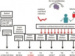 新型NK细胞疗法CYNK-101治疗晚期胃癌患者无癌生存近4年