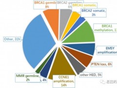 卵巢癌基因检测,卵巢癌BRCA基因检测让"沉默的杀手"开口说话