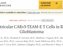 CAR-T细胞疗法CARv3-TEAM-E治疗复发性胶质母细胞瘤5天肿瘤缩小一半以上