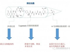 乳腺癌骨转移治疗新药莱古比星临床试验志愿者招募进行中