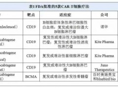 全球第五款CAR-T细胞免疫疗法,靶向BCMA靶点突变的BCMA CART疗法获批上市