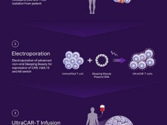 晚期卵巢癌细胞免疫疗法治疗,卵巢癌CAR-T细胞免疫疗法治疗势不可挡