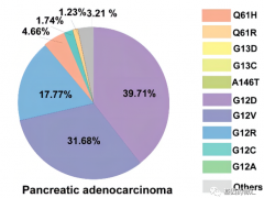 胰腺癌靶向治疗,覆盖超过30%患者的3类胰腺癌重要靶点为胰腺癌患者带来生存的希望