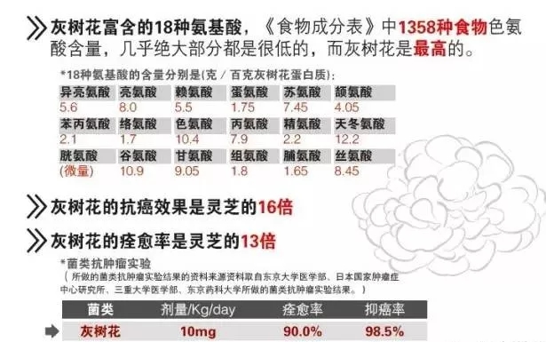 食物成分表