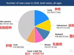 胃癌CAR-T治疗,国产CAR-T疗法CT041首次亮相ESMO,效果惊艳