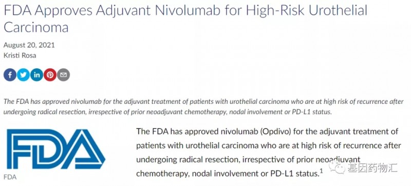 FDA批准纳武单抗用于尿路上皮癌辅助治疗
