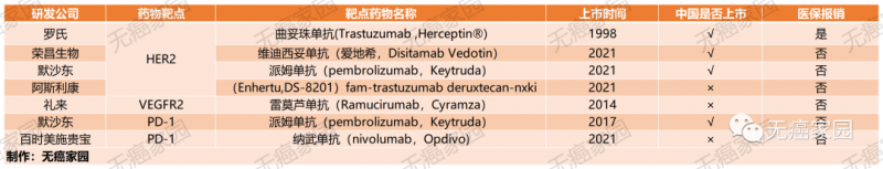 胃癌靶向和免疫治疗药物