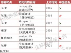 卵巢癌为什么要做基因检测,卵巢癌靶向药物和卵巢癌靶向治疗方案有哪些,卵巢癌基因检测价格、费用、多少钱