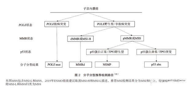 子宫内膜癌分子检测