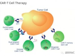 速递|2021年10月1日FDA批准了靶向CD19的CAR-T细胞疗法Tecartus(Brexucabtagene Autoleucel，KTE-X19)用于B淋巴细胞白血病