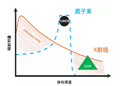 质子治疗和X射线放疗辐射剂量对比