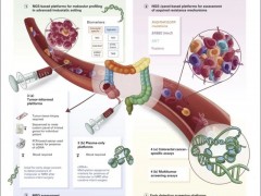 结直肠癌ctDNA筛查,五分钟了解结直肠癌ctDNA检测在临床中的应用