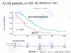 小细胞肺癌免疫治疗效果怎么样