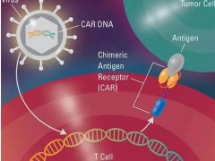 肺癌脑转、肝转别怕，派姆单抗联合化疗生存期照样翻倍！